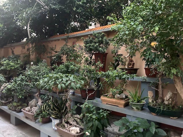 Moms Garden