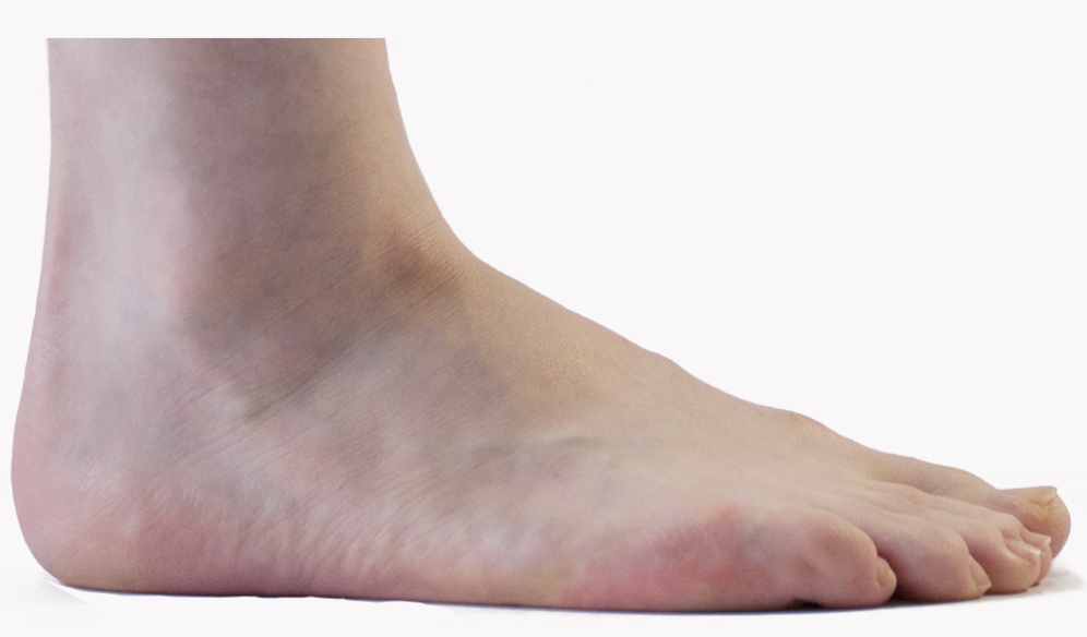 foot