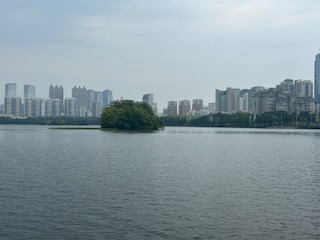 IMG 4104